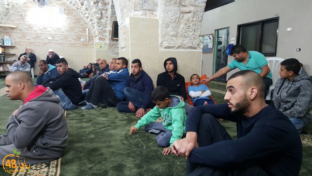 safwat frje3 (3).jpg